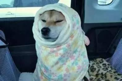 为什么说冬季采暖室温不超过22℃最舒适最健康？(图2)